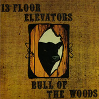 13th Floor Elevators - Sign Of The 3 Eyed Men (CD 9 - Bull Of The Woods)