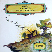 13th Floor Elevators - Live (Remastered 1991)