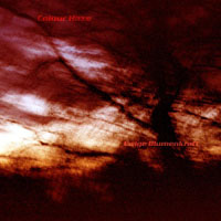 Colour Haze - Ewige Blumenkraft (Remastered 2008)