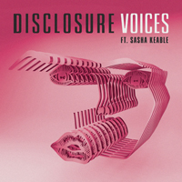 Disclosure (GBR) - Voices (Le Youth Remix) (Single)