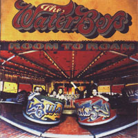 Waterboys - Room To Roam