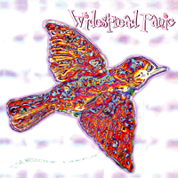 Widespread Panic - 'Til The Medicine Takes