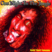 David Feinstein - One Night In The Jungle