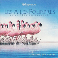 The Cinematic Orchestra - Les Ailes Pourpres