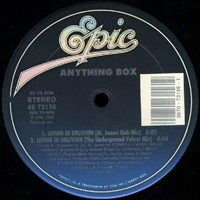 Anything Box - Living In Oblition (12