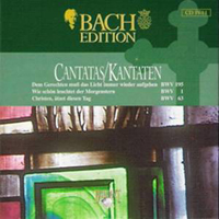 Johann Sebastian Bach - Bach Edition Vol. IV: Cantatas II (CD 11) - BWV 195, 1, 63
