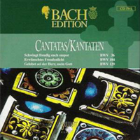 Johann Sebastian Bach - Bach Edition Vol. IV: Cantatas II (CD 5) - BWV 36, 184, 129