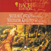 Johann Sebastian Bach - Bach Edition Vol. V: Vocal Works (CD 12) - Secular Cantantas