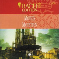Johann Sebastian Bach - Bach Edition Vol. V: Vocal Works (CD 7) - Motets