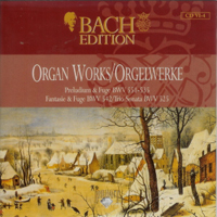Johann Sebastian Bach - Bach Edition Vol. VI: Organ Works (CD 4) - BWV 551,535,766,525,542,690,691,131a