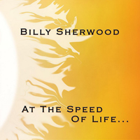 Billy Sherwood - At The Speed Of Life