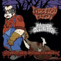 Digested Flesh - Accumulation Of Eviscerated Remnants (Split)