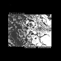 Fellirium - Cellular structure