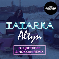 DJ ff - Altyn (DJ off & Hokkan Remix) [Single]