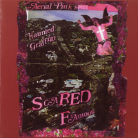 Ariel Pink - Scared Famous (Reissue)
