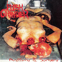 Flesh Grinder - Anatomy & Surgery