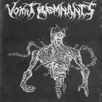 Vomit Remnants - In The Name Of Vomit / Brutally Violated