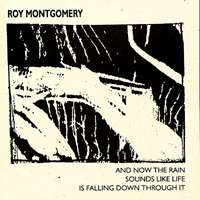 Roy Montgomery - And Now the Rain Sounds Like Life Is Falling Down Through It