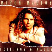 Mitch Malloy - Ceilings & Walls