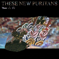These New Puritans - Hologram (Single)