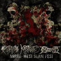 Ingested - North-West Slam Fest (Split)
