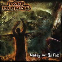 Pain Principle - Waiting for the Flies