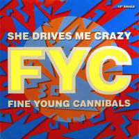 Fine Young Cannibals - She Drives Me Crazy (Maxi-Single)