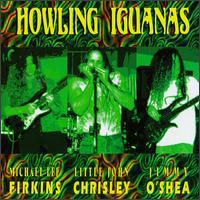 Michael Lee Firkins - Howling Iguanas