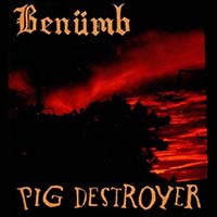 Benümb - Benümb / Pig Destroyer (Split)