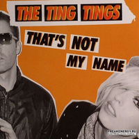 Ting Tings - Thats Not My Name (Remixes)