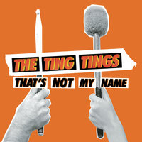 Ting Tings - That's Not My Name (Acoustic Version) [Single]