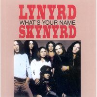 Lynyrd Skynyrd - What's Your Name