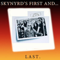 Lynyrd Skynyrd - Skynyrd's First And...Last (LP)