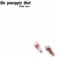 Pineapple Thief - Little Man