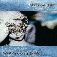Pineapple Thief - 8 Days Later