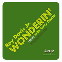 Roy Davis Jr. - Wonderin' (Single - feat. Terry Dexter)