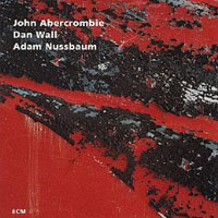 John Abercrombie - While We're Young