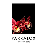 Parralox - Megamix 2013 (Single)