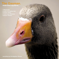 Gasman - Weak-Base Equilibria (EP)