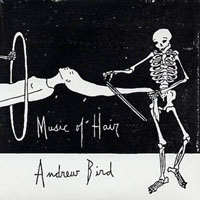 Andrew Bird - Music Of Hair