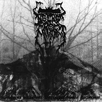 Necrofrost - Bloodstorms voktes over Hytrunghas dunkle Necrotrone