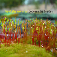 Hawksley Workman - Between The B-Sides