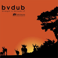 Bvdub - Strength In Solitude LP