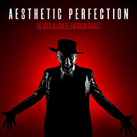 Aesthetic Perfection - No Boys Allowed (Empirion Remix)