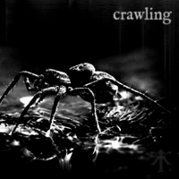 Impurfekt - Crawling