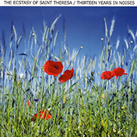 Ecstasy Of Saint Theresa - Thirteen Years In Noises