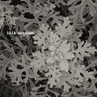 101A - Unknown