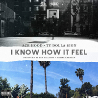 Ace Hood - I Know How It Feel (Single)