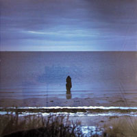 Steven Wilson - Catalogue - Preserve - Amass (LP)