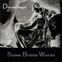 Disreflect - Some Brittle Words